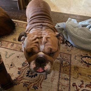 Meet your Posher, Todd